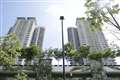 The Maple Condominium