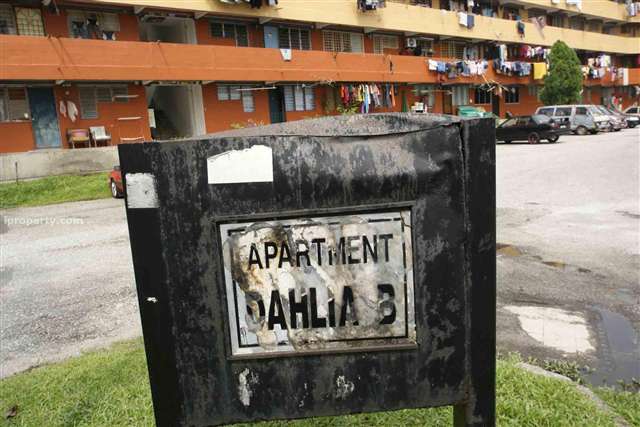 Apartment Dahlia B