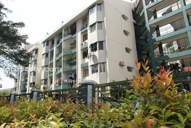 City Garden Orchid Court