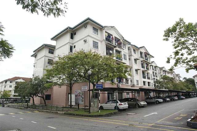 SD Apartments