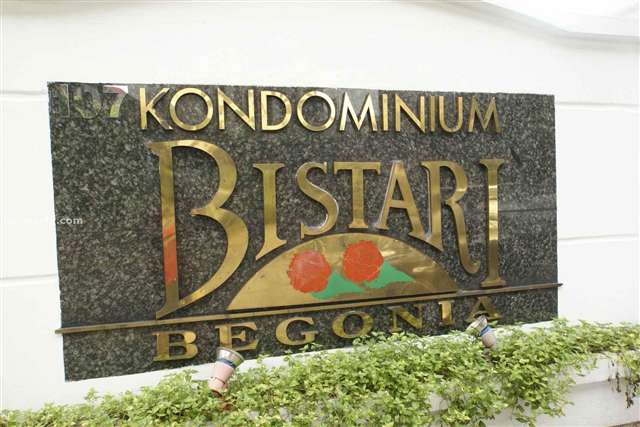 Bistari Begonia - Photo 1