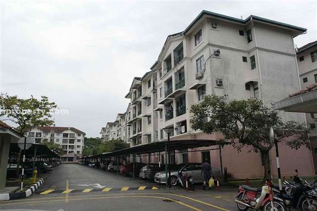 SD Apartments
