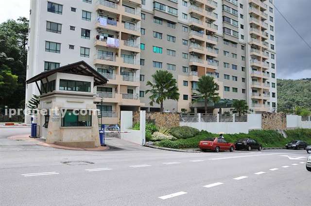 Alpine Tower - Photo 9