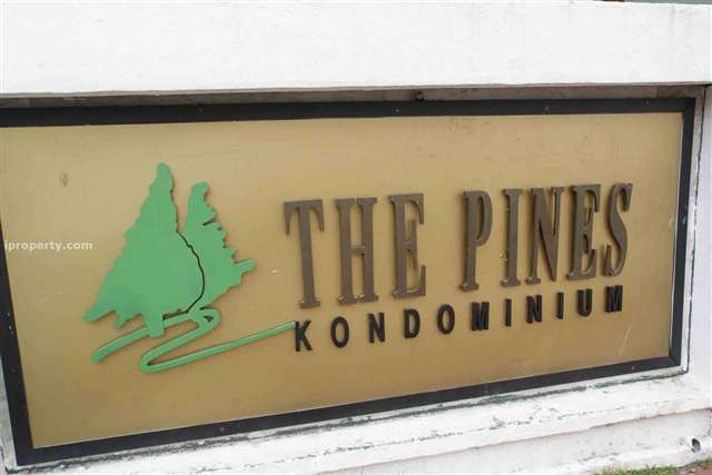 The Pines