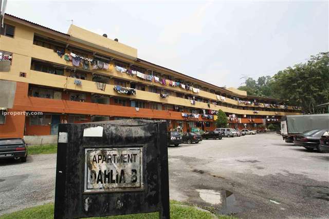 Apartment Dahlia B