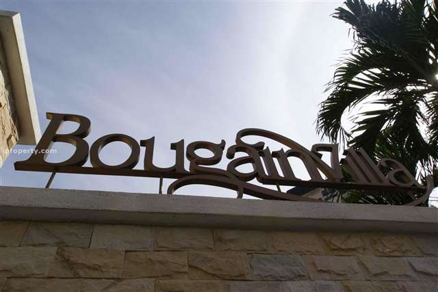 Bougainvilla
