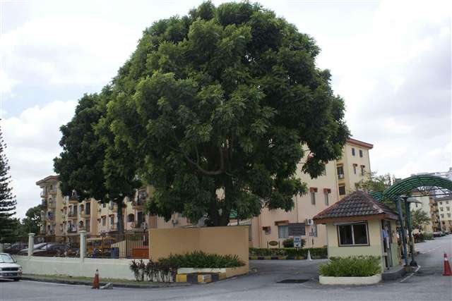 Subang Perdana Goodyear Court 3
