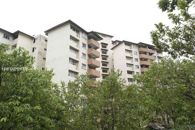 Paradesa Rustica