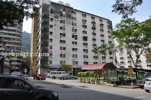 Taman Paya Terubong