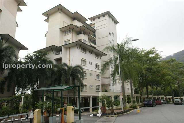 Lojing Heights 1