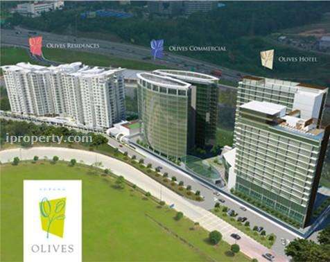 Subang olives