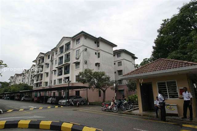 SD Apartments