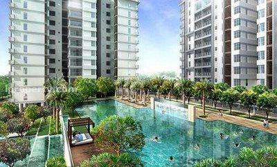Amaya Saujana