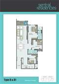 Type B & B1