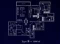 Type B