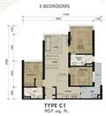 Type C1