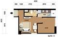 Suite 11