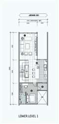 Type B1