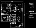 Type D2             