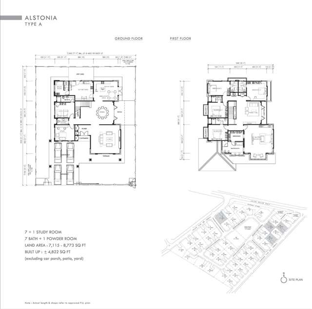 Alstonia Type A Alstonia Type A