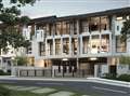 Maple Terrace