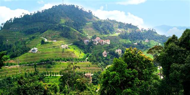 Villas at Berjaya Hills