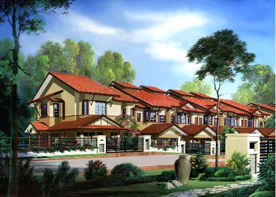 Cassia Phase B11 & B12