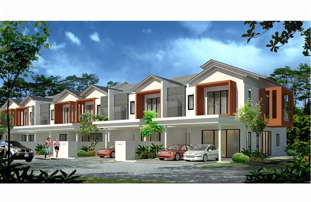 Areca