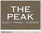 The Peak (Semi D)