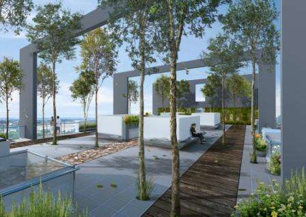 Rooftop Garden