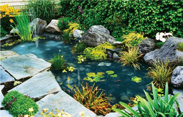 Gardenz_Water