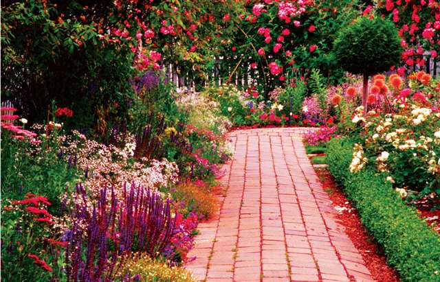 Gardenz_Fire
