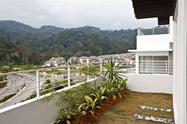 Roof Top Garden