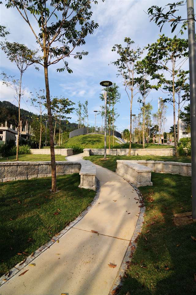 Landscaped Garden