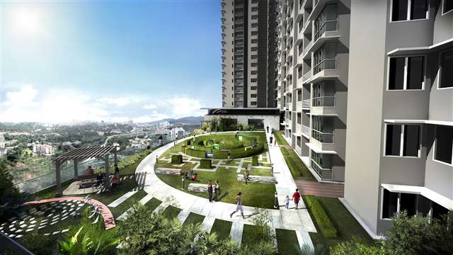 Big Garden