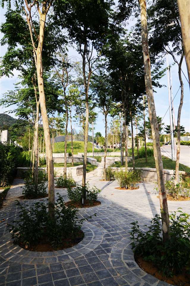 Landscaped Garden