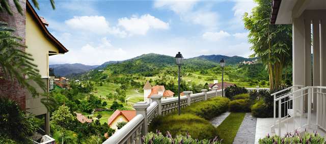 Garden view