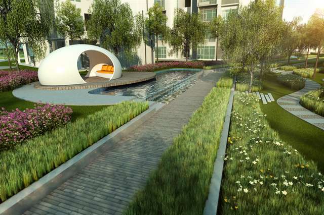 Paddy Terrace