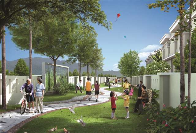 Linear Park