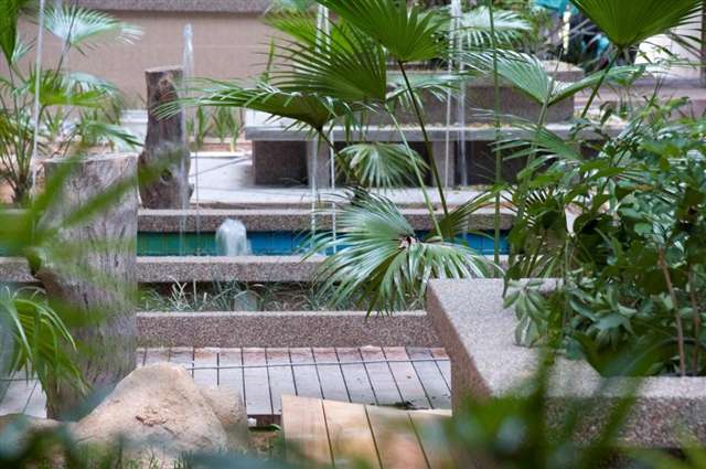 Internal Garden