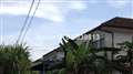 Semi D Bungalow Sg Ara, BAYAN LEPAS, Sungai Ara