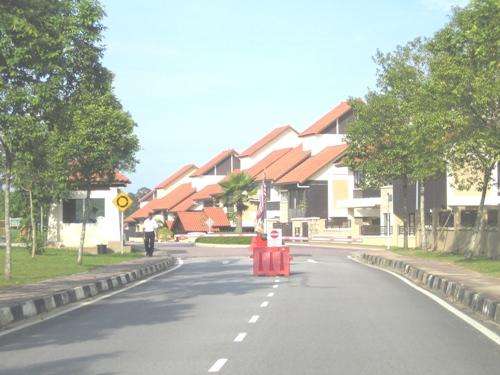 main picture
