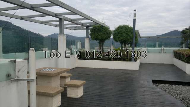 Roof Top Garden