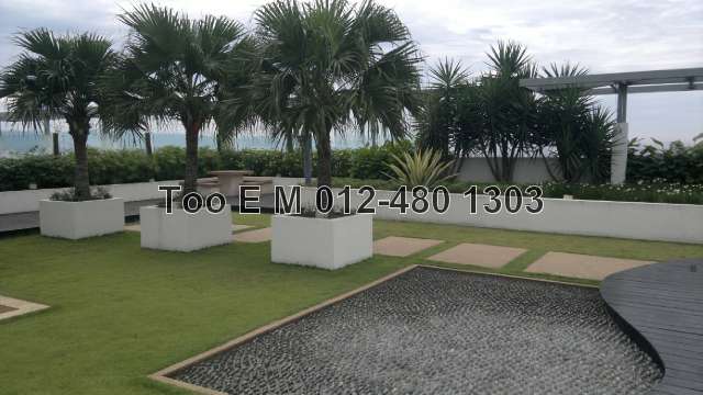Roof Top Garden View 1