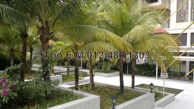 Garden N Water Features