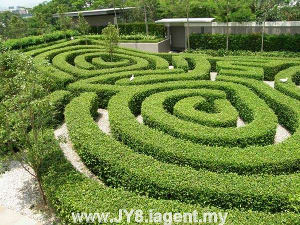 Maze Garden