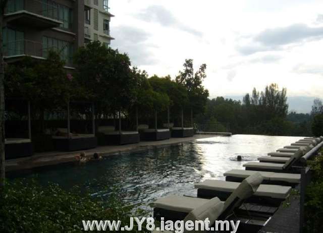 Infinity Pool