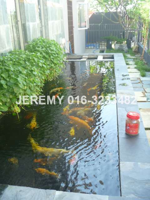 Fish Pond