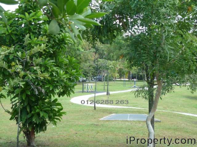 Exercise Field