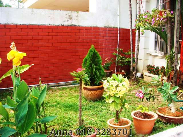 Little Garden